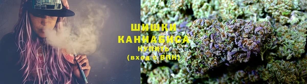 тгк Ладушкин