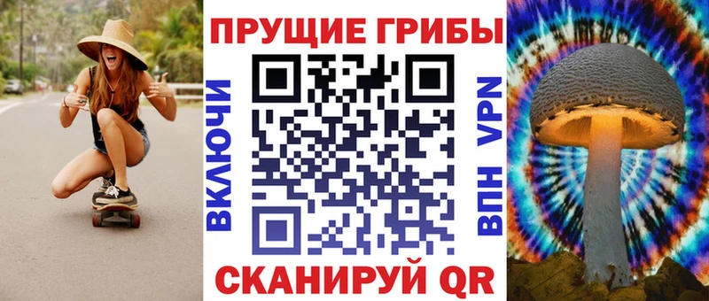 Псилоцибиновые грибы Psilocybe  Купить  Зверево 